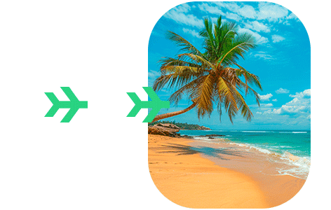 Solicitud del C5 para viajar a Jamaica