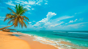 Solicitar C5 Jamaica Solicitud del C5 para viajar a Jamaica