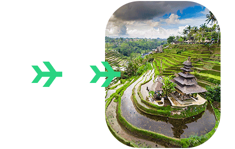 Indonesia ecd formulario