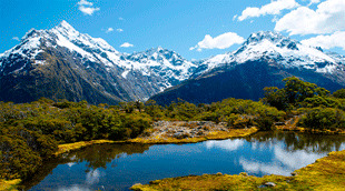 NZ eTA en Línea