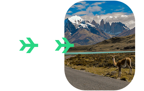 SAG Chile: Declaración aduanera