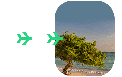 Aruba ed card online