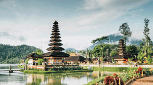 visado indonesia online